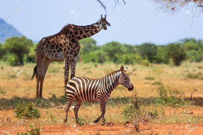 Day Trip - Tsavo East National Park ( Man Eater Lions of Tsavo & Other Big Five) - Yatta Plateau and Tsavo’s wide views