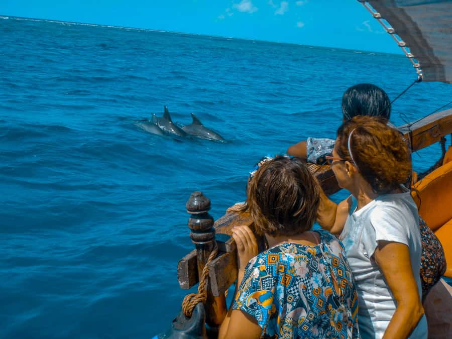 Dhow Adventure to Wasini Island & Kisite Marine Park - The slave caves and the coast’s difficult past