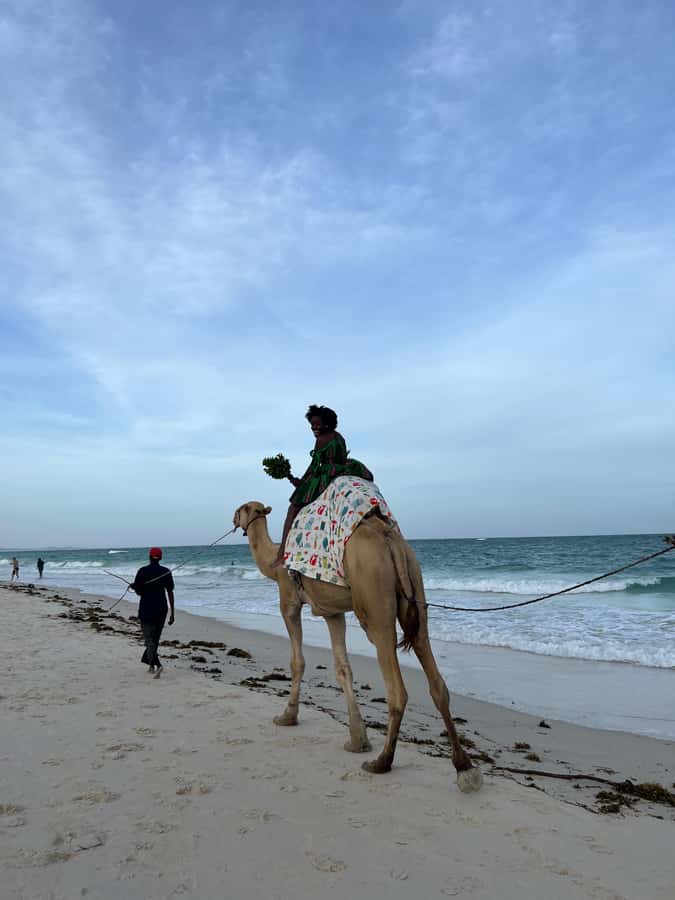 DIANI: BEACH CAMEL RIDE - Key points before you book