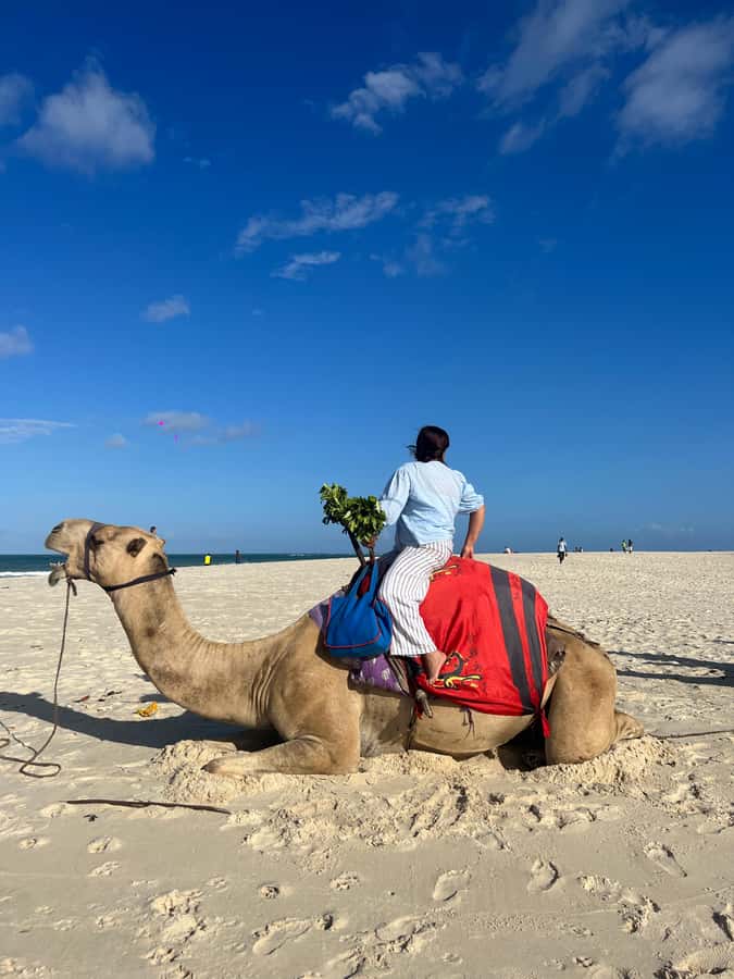 DIANI: BEACH CAMEL RIDE - Why a camel belongs on Diani Beach