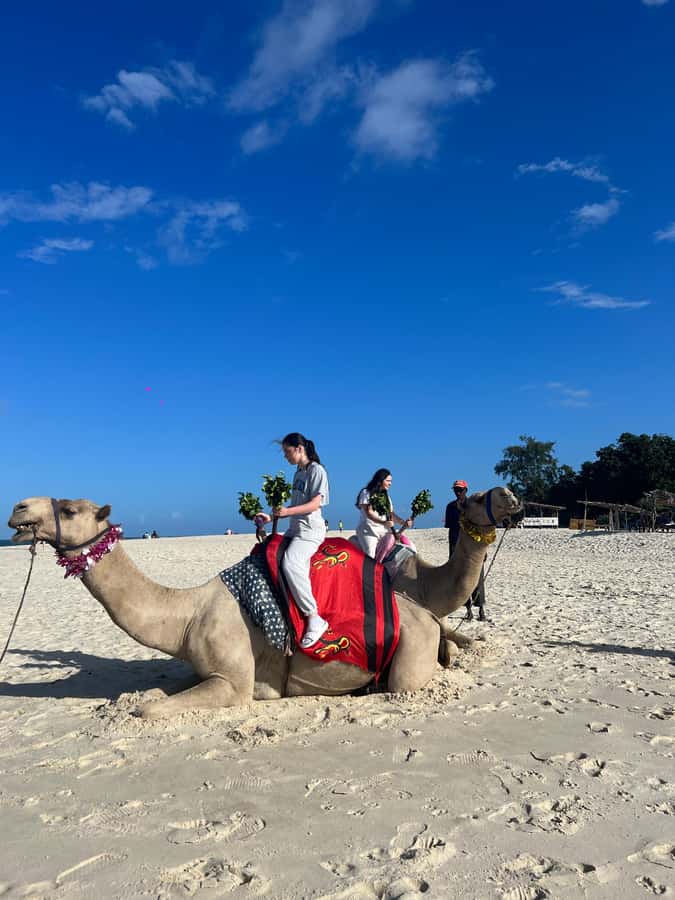 DIANI: BEACH CAMEL RIDE - Meeting at Kongo Mosque
