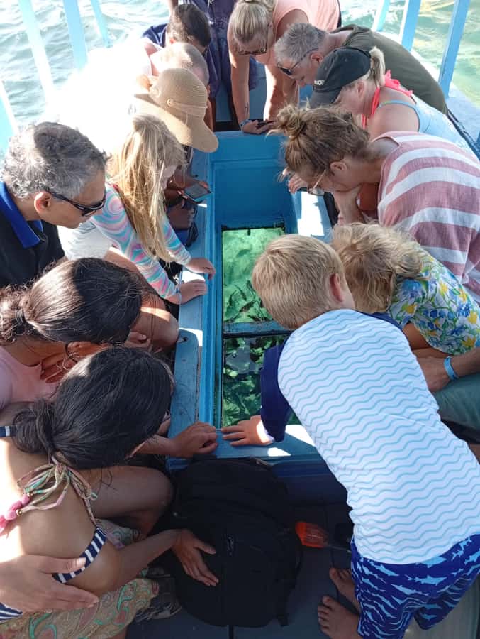 Diani Beach: Glass-Bottom Boat Cruise to Robinson Island - A short safety briefing before the water