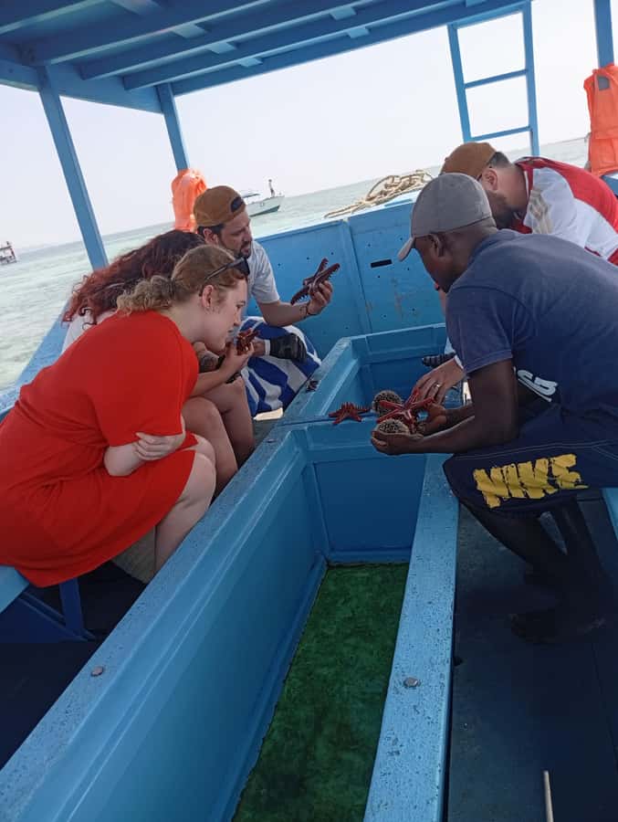 Diani Beach: Glass-Bottom Boat Cruise to Robinson Island - Starting with a tuk-tuk through Diani