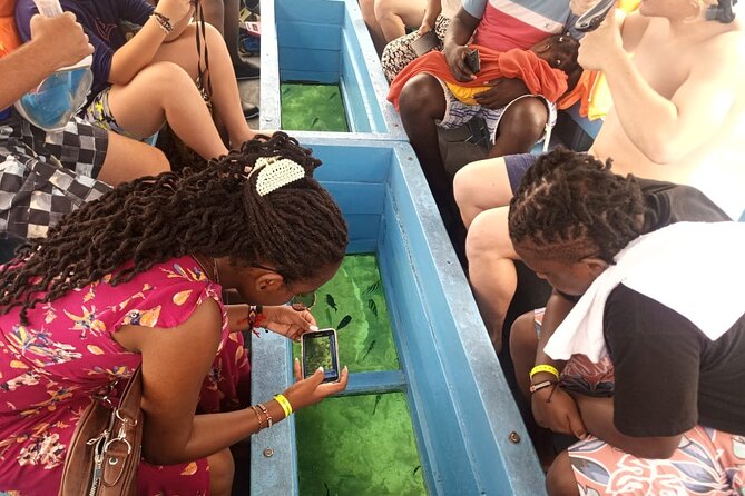 Diani Beach: Glass-bottom Boat Ride with Underwater Show - Key points to know before you book