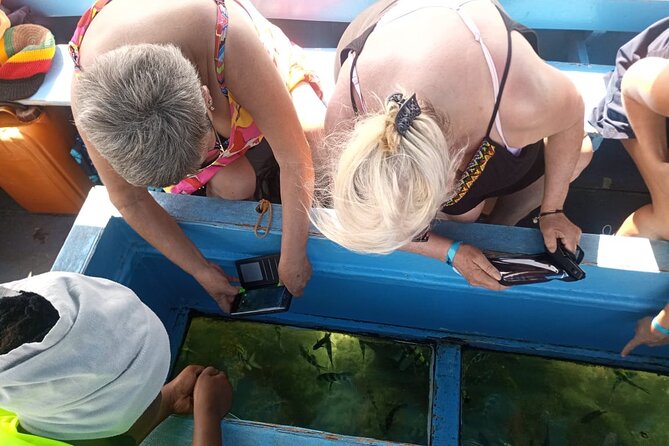 Diani Beach: Glass-bottom Boat Ride with Underwater Show - What makes the glass-bottom boat special