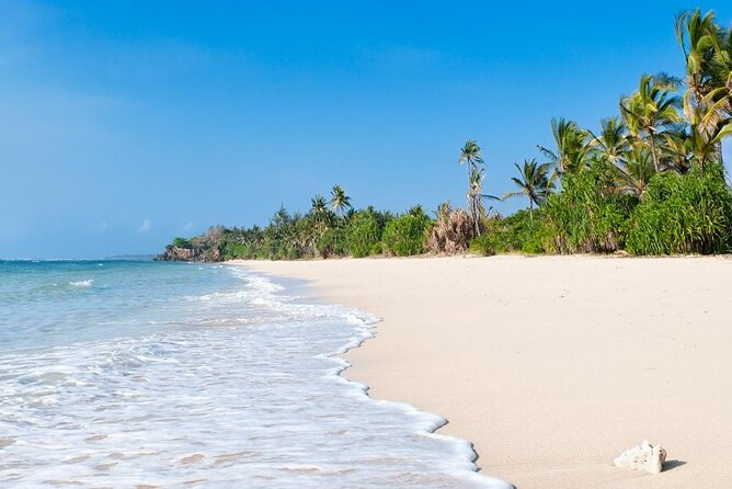Diani Beach: Glass-bottom Boat Ride with Underwater Show - The captain’s underwater show and local conservation