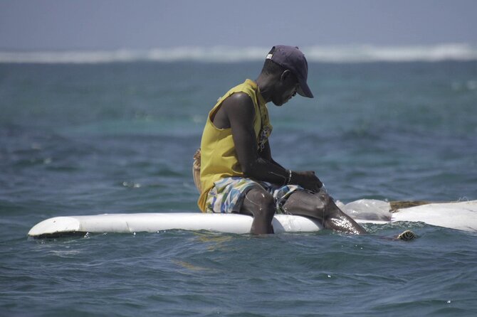 Diani Beach: Glass-bottom Boat Ride with Underwater Show - A 45-minute pause on the sandbank