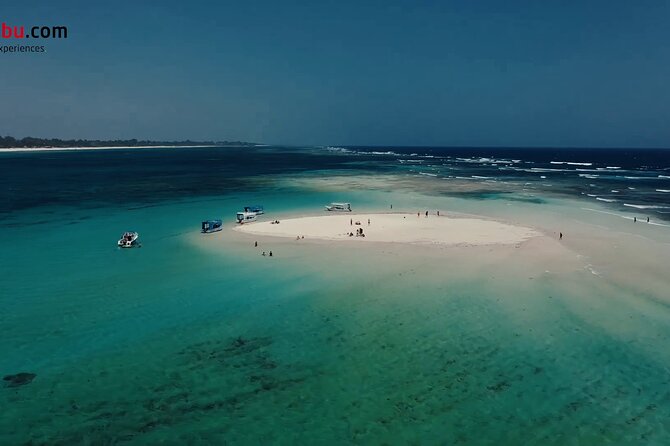 Diani Beach: Glass-bottom Boat Ride with Underwater Show - Who will enjoy this most