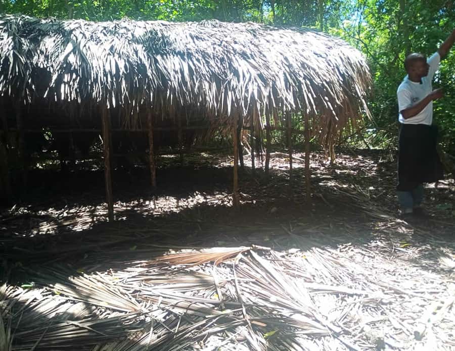 Diani Beach: Kaya Kinondo cultural and nature experience - Moving from forest to village