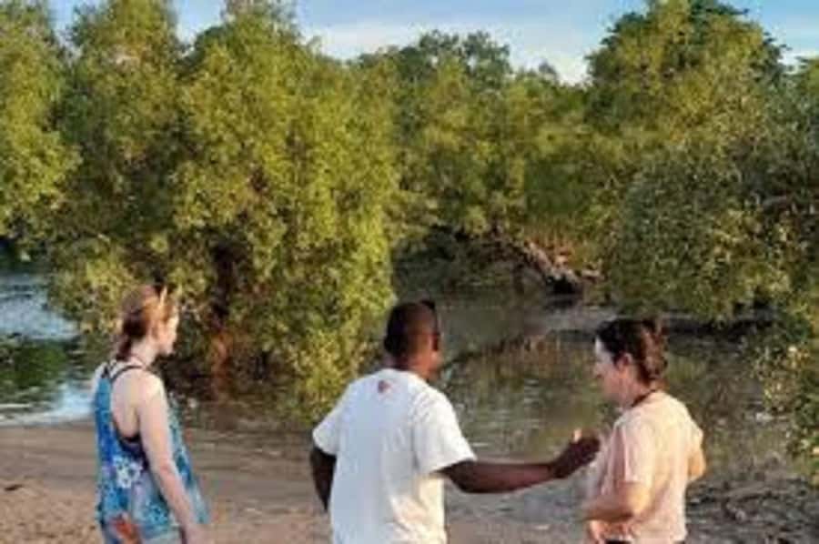 Diani Beach: Kongo River Estuary Sundowner Boat Tour - Why the Kongo River Estuary makes a good evening trip