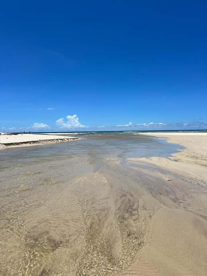 Diani Beach: Private African Pool Map Guided Tour - Why the African Pool feels different from a normal Diani outing