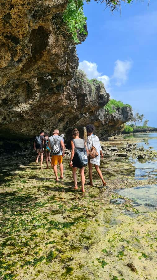 Diani Beach: Private African Pool Map Guided Tour - Swimming in the African Pool