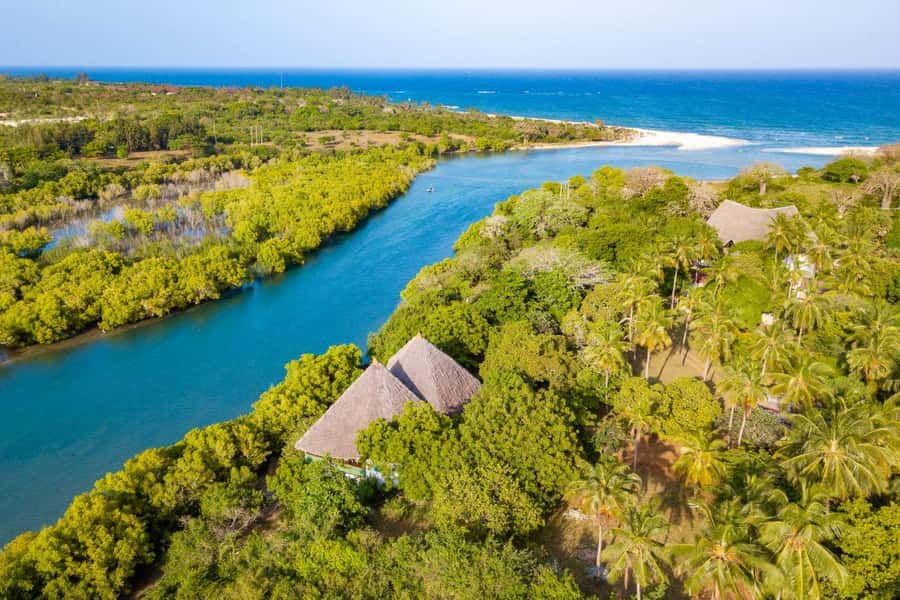 Diani Beach: Sunset Dhow Cruise with Dinner - One and a half hours among the mangroves