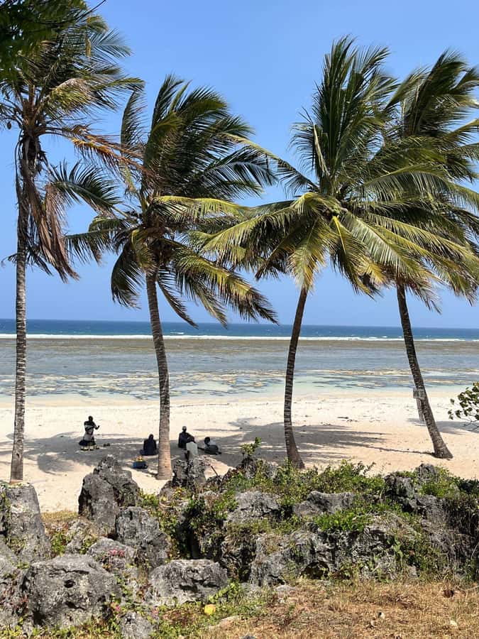 Diani: Full day Guided tour in Tiwi beach & Diani - Why this Diani day feels different