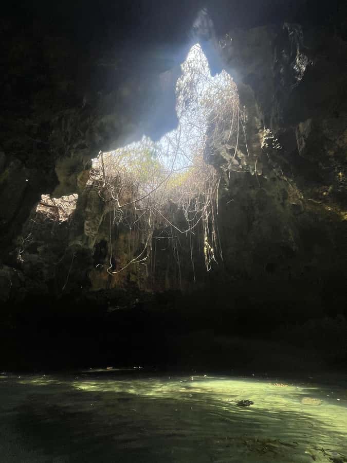 Diani: Full day Guided tour in Tiwi beach & Diani - Snorkeling in Tiwi’s coral caves