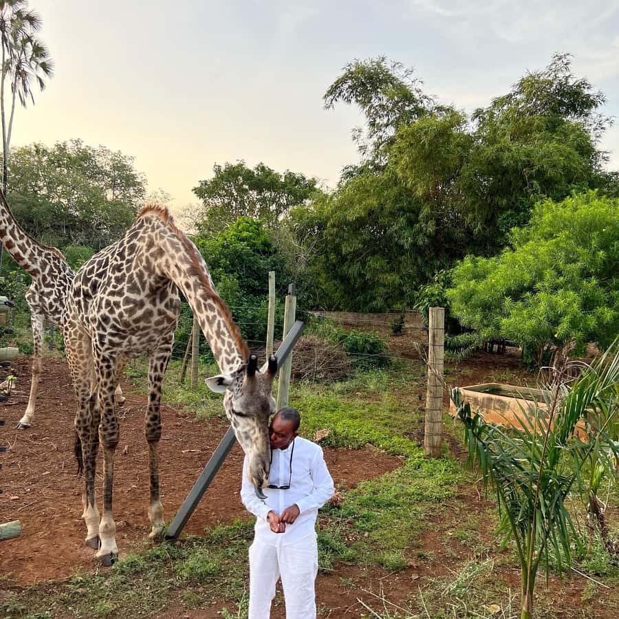 DIANI: SHARE A MEAL WITH GIRAFFES - Why the giraffe meal is the main event