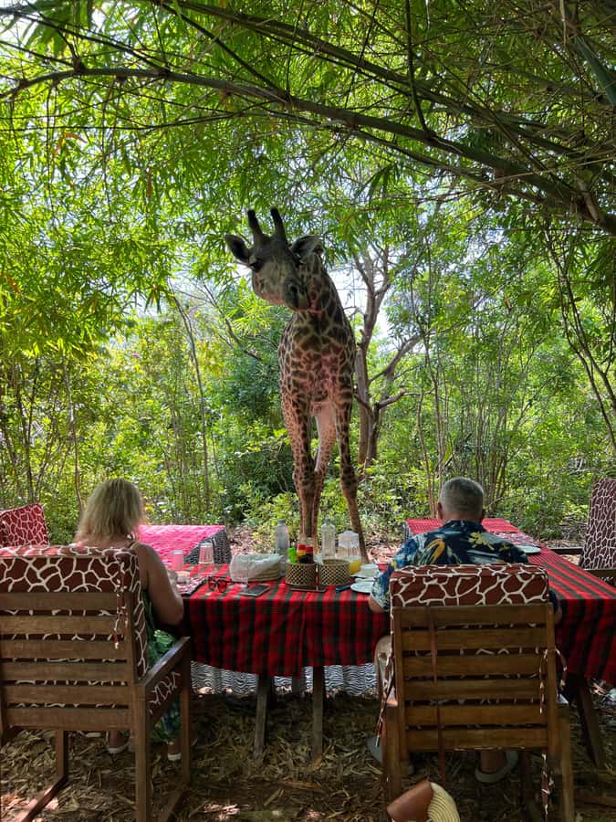 DIANI: SHARE A MEAL WITH GIRAFFES - A three-course meal beside the giraffes