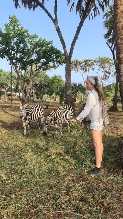 DIANI: SHARE A MEAL WITH GIRAFFES - The cultural performance and souvenir stop