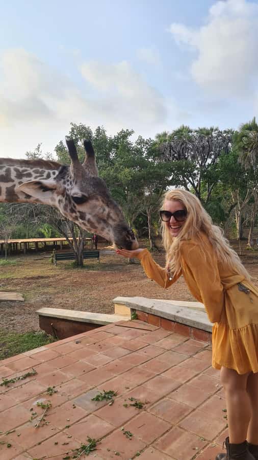 DIANI: SHARE A MEAL WITH GIRAFFES - Who will enjoy this most