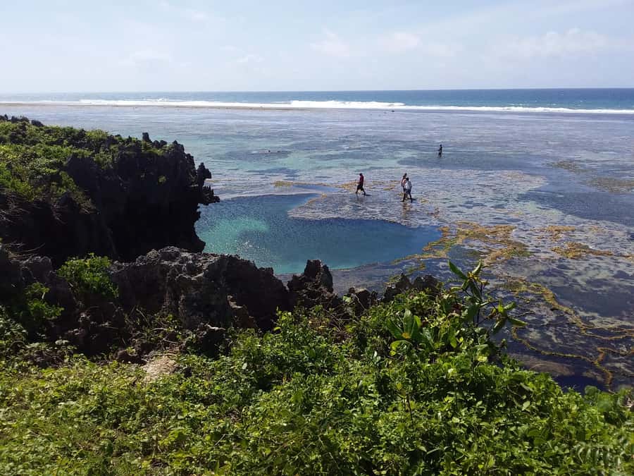Diani: Snorkeling and Swimming at African Pool in Tiwi Beach - Who should book this Tiwi outing?