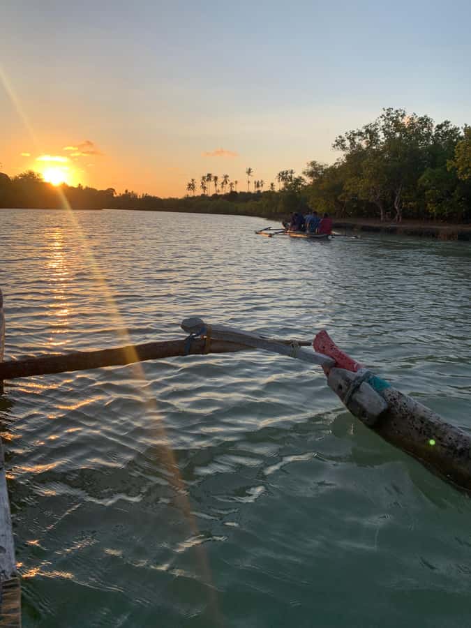 Diani: Sunset Canoe Tour along the River with Mangroves - Why this quiet Diani outing is worth your time