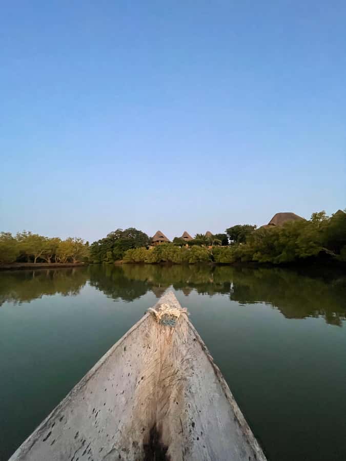 Diani: Sunset Canoe Tour along the River with Mangroves - Who will enjoy this experience most