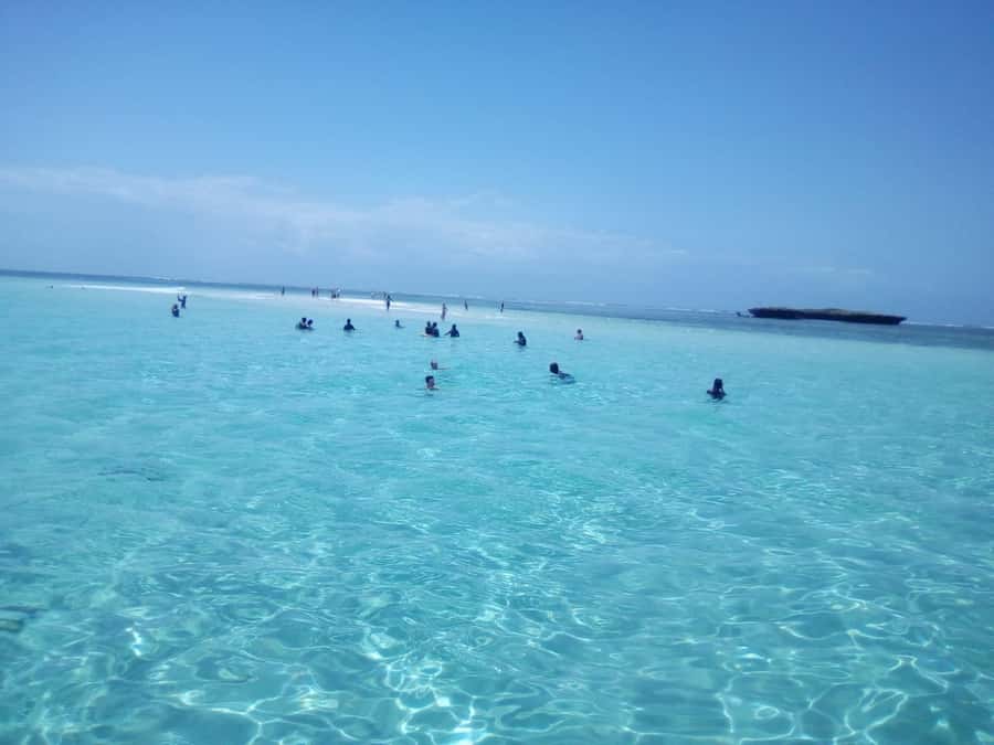 Diani: Wasini Island Dolphin Watching and Snorkeling Tour - Key points to know before booking