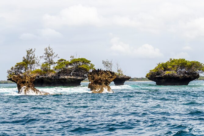 Dolphin Watch & Snorkeling at Kisite Marine Park & Wasini Island - Wasini Island and a seafood lunch with local flavor