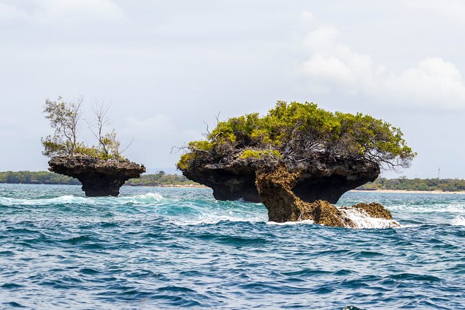 Dolphin Watch & Snorkeling at Kisite Marine Park & Wasini Island - Guide quality can shape the whole day