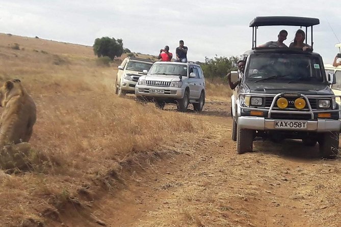 Early Morning Group Joining Mini Safari To Nairobi National Park - The animals you may see on the drive