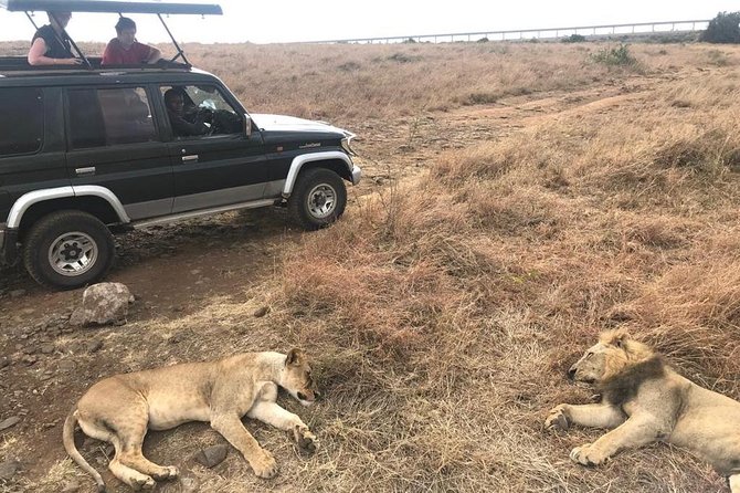 Early Morning Group Joining Mini Safari To Nairobi National Park - Is $71.43 a fair price?