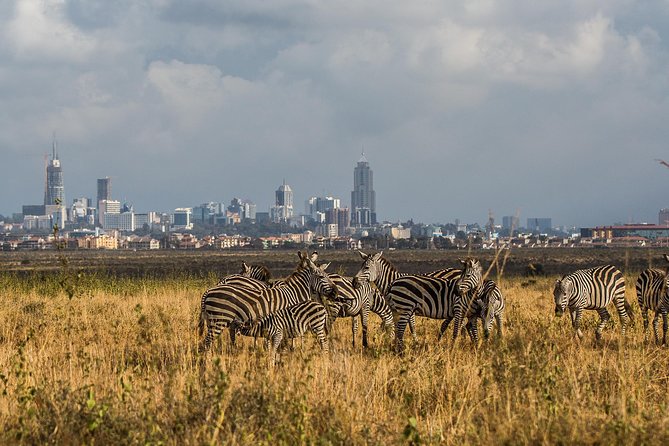 Early Nairobi Park Giraffe Centre and Optional Elephant Orphanage - Why the early start works so well