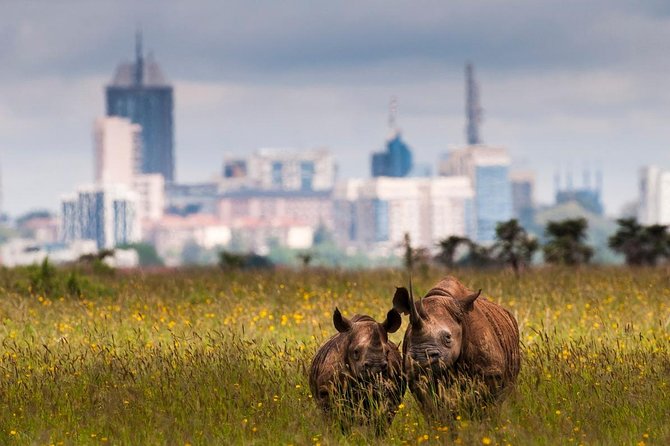 Early Nairobi Park Giraffe Centre and Optional Elephant Orphanage - What the $155 price really covers