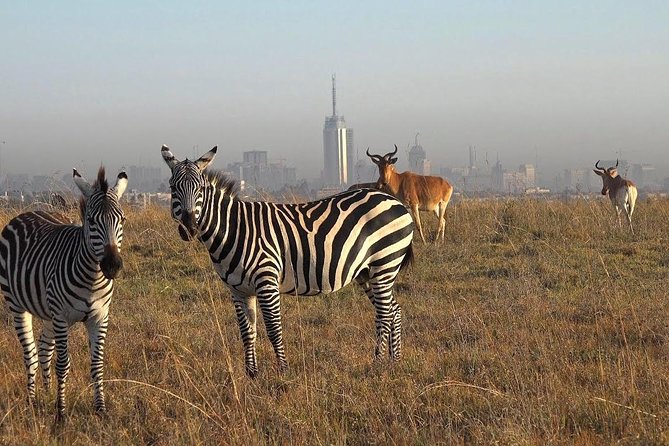 Early Nairobi Park Giraffe Centre and Optional Elephant Orphanage - The guide can shape the whole morning