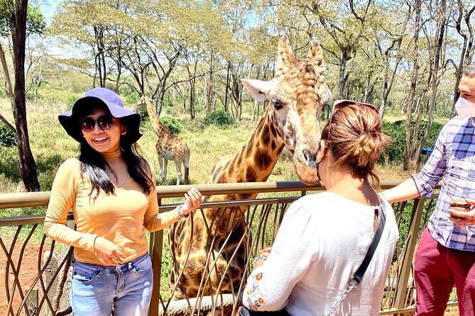 Elephant Orphanage and Giraffe Center Nairobi Day Tour - Is $194.81 good value for three hours?