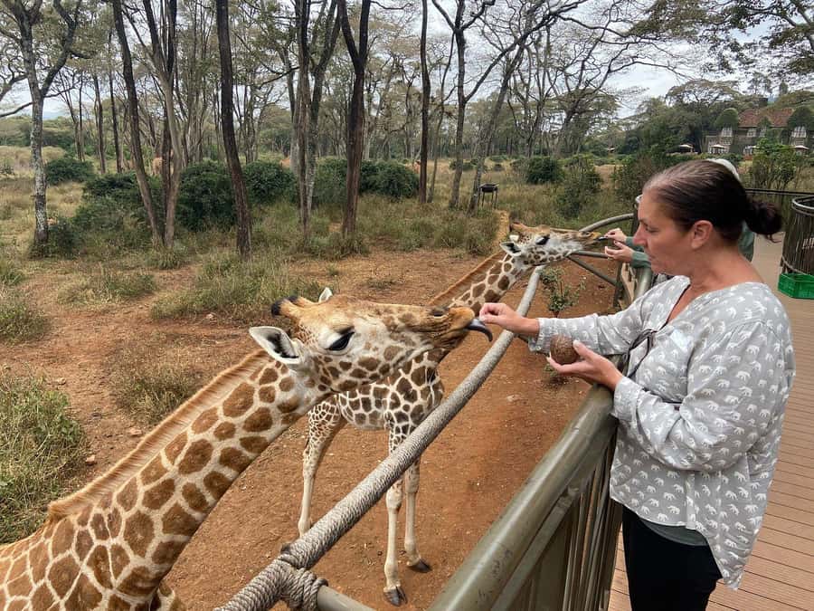Elephant Orphanage and Giraffe Center Tour with Options - Karen Blixen Museum or Bomas of Kenya