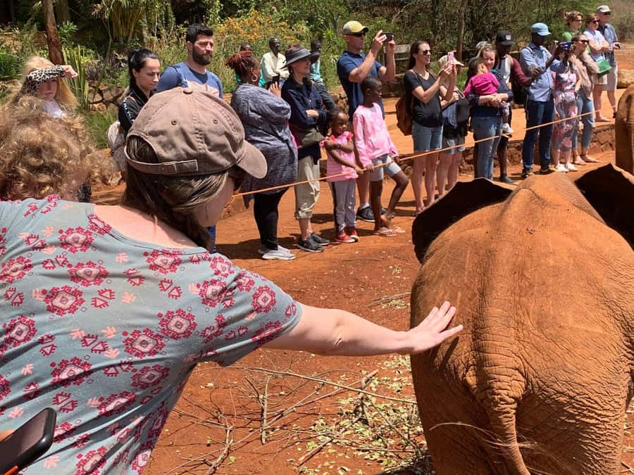 Elephant Orphanage and Giraffe Center Tour with Options - Lunch, Water, and What to Pack