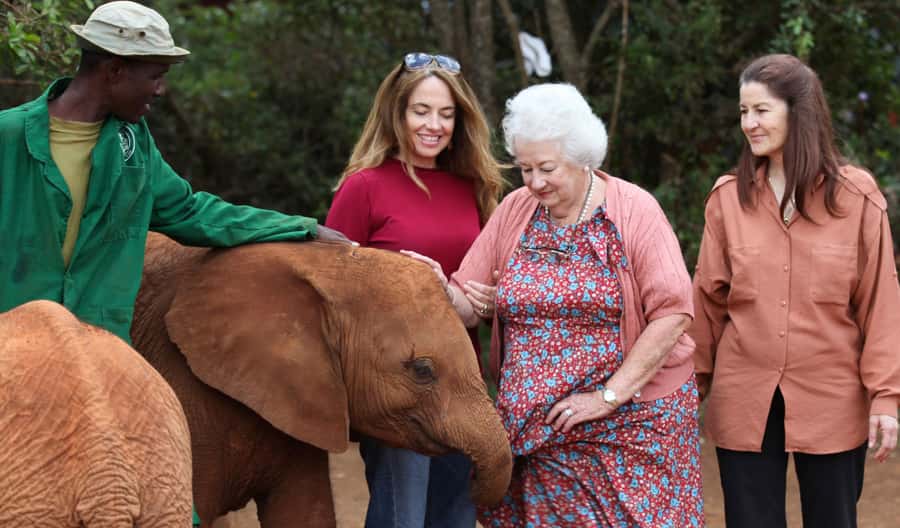 Elephant Orphanage,Giraffe Center&Karen Blixxen Day TripTour - Seeing milk bottles and orphaned elephants at Sheldrick