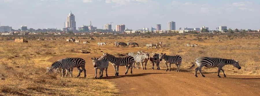Elephant Orphanage, Giraffee Center, Karen Blixxen Meseum - Booking and timing tips