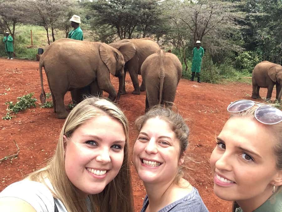 Elephant Orphanage Trust, Giraffes & Bomas of Kenya Day Tour - Who should book this Nairobi tour?
