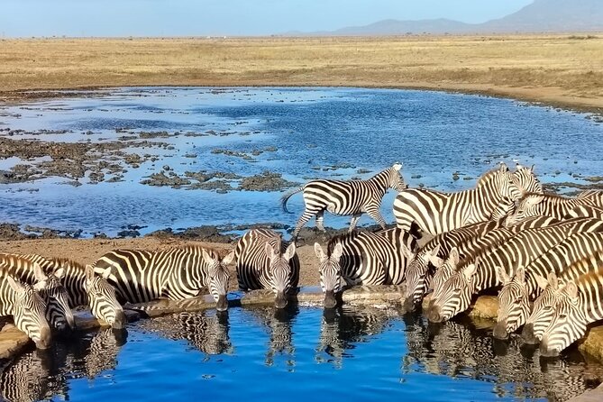 Elky Tours 2 Days Tsavo East Tour - Key points at a glance