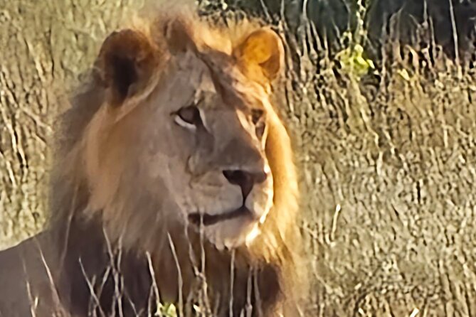 Elky Tours 2 Days Tsavo East Tour - The 6am road from Diani Beach