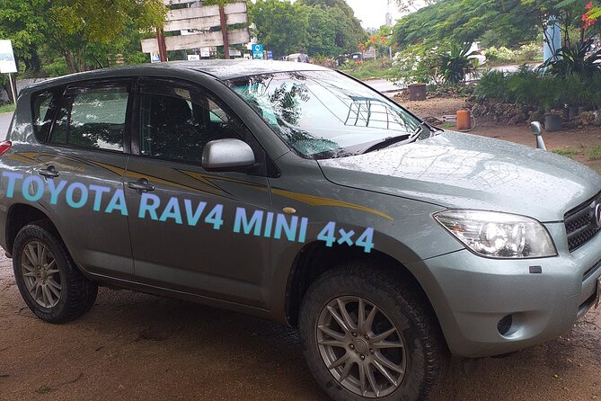 Elkydianibeachtaxis - Beyond transfers: Shimba Hills and coastal outings