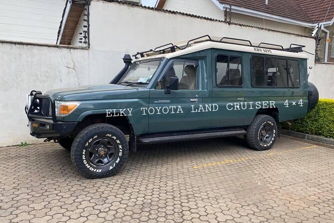 Elkydianibeachtaxis - The ride itself: comfort, timing, and local help