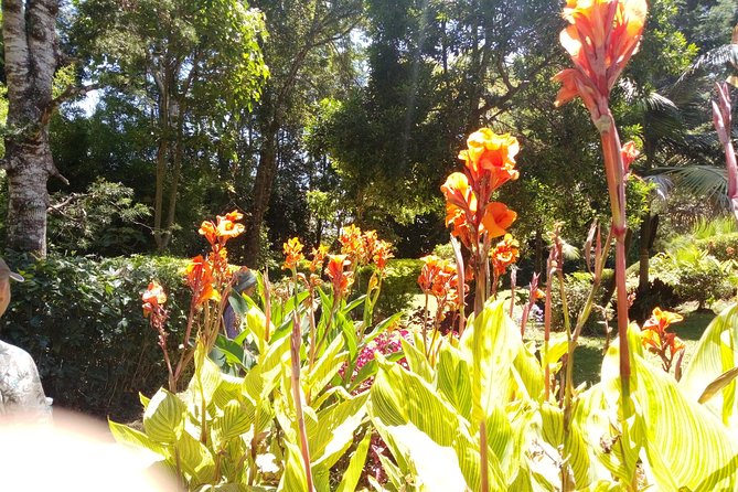 Excursion to Kiambethu Tea Farm - What the $140 price really buys you