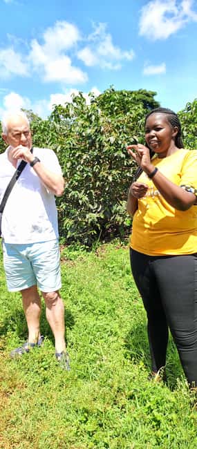 FAIRVIEW COFFEE FARM DAY TOUR - Should you book the Fairview Coffee Farm tour?