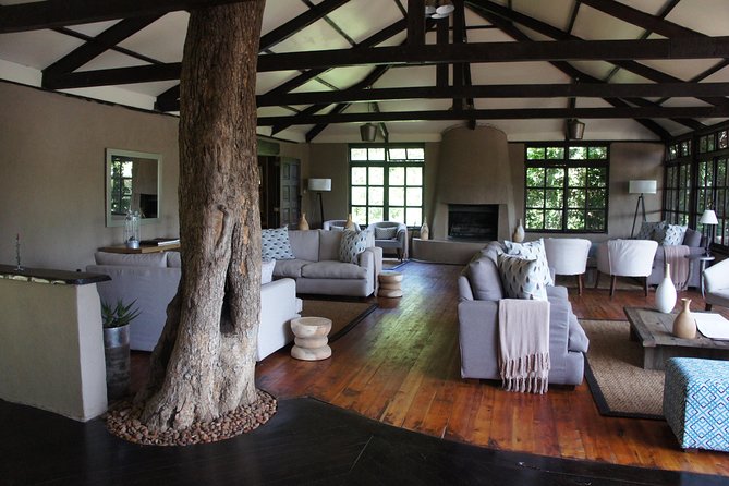 Family & Friends safari Full package . - Day 5: A full day in the Maasai Mara
