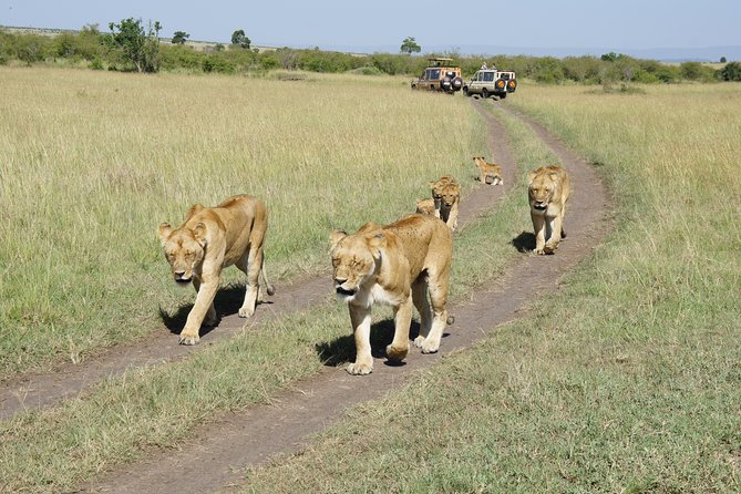 Family & Friends safari Full package . - Days 7 and 8: Free time at Diani Beach