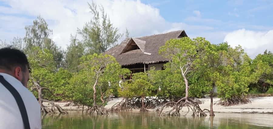 From Diani Beach: Funzi Island Full Day Excursion with Lunch - The Ramisi River and its mangroves