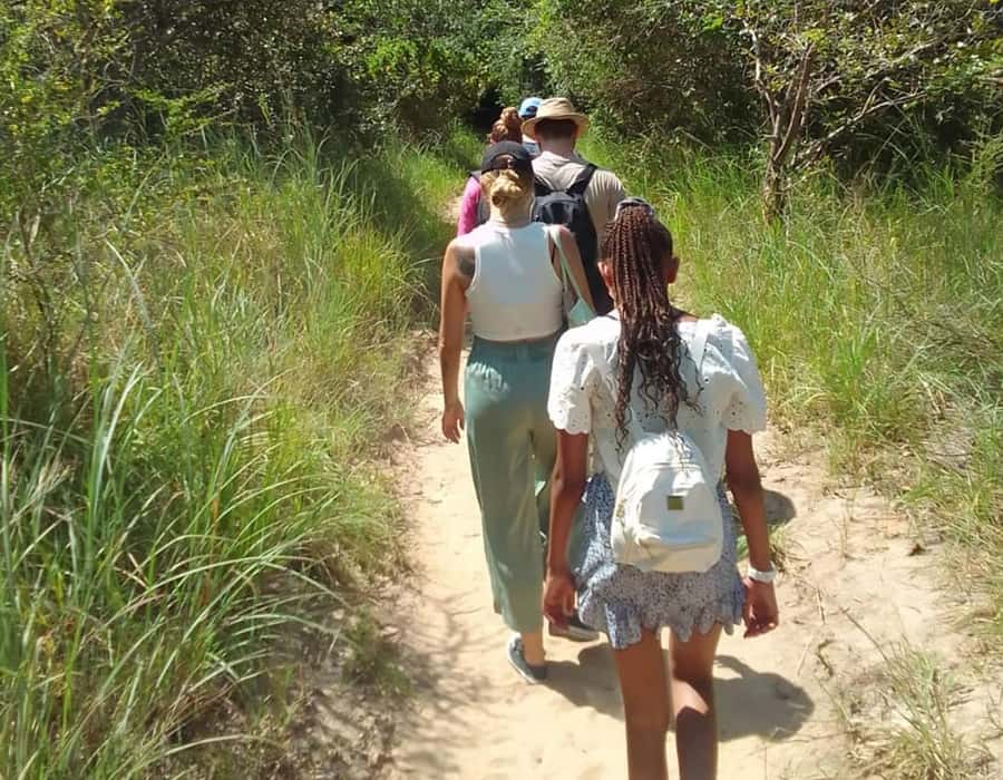 From Diani: Full Day Shimba hills tour with Sheldrick Falls - The 8:00 AM Shimba Hills game drive